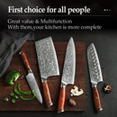 Professional Damascus Chef Kitchen Knife Set 4 Pieces Yu Series