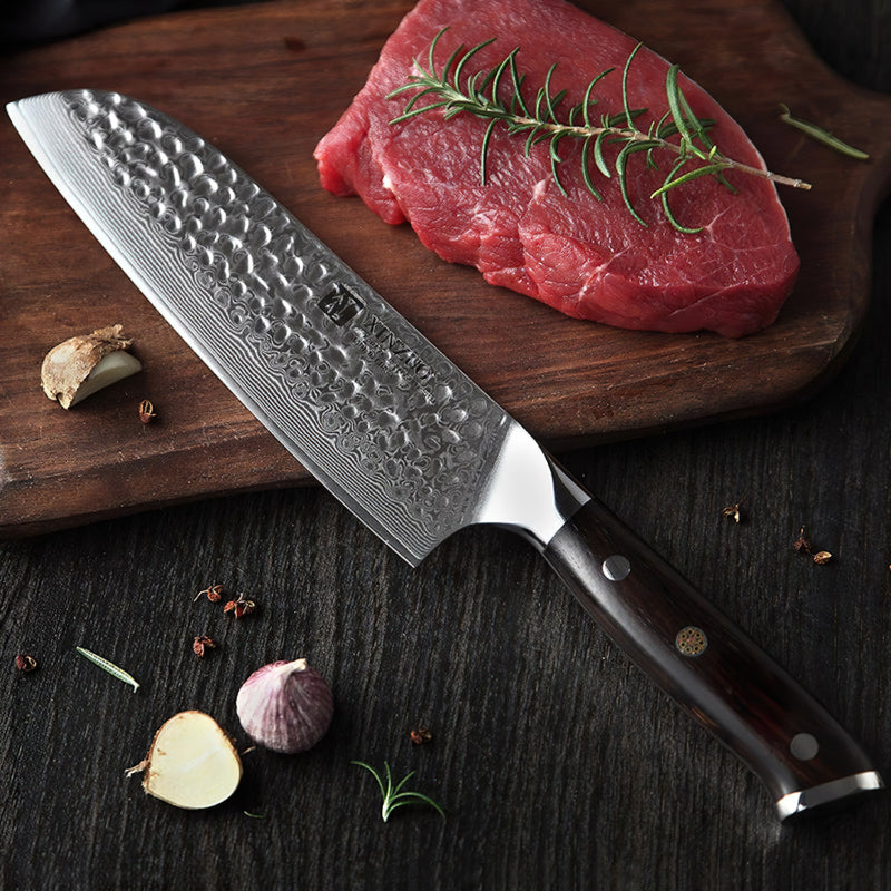 Xinzuo Professional Santoku Knife Damascus Steel Ebony Yu Series