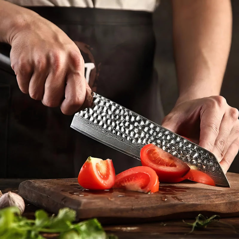 8.5 inch Gyuto Chef Knife - Classic Series