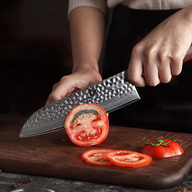 Xinzuo Professional Santoku Knife Damascus Steel Yun Series