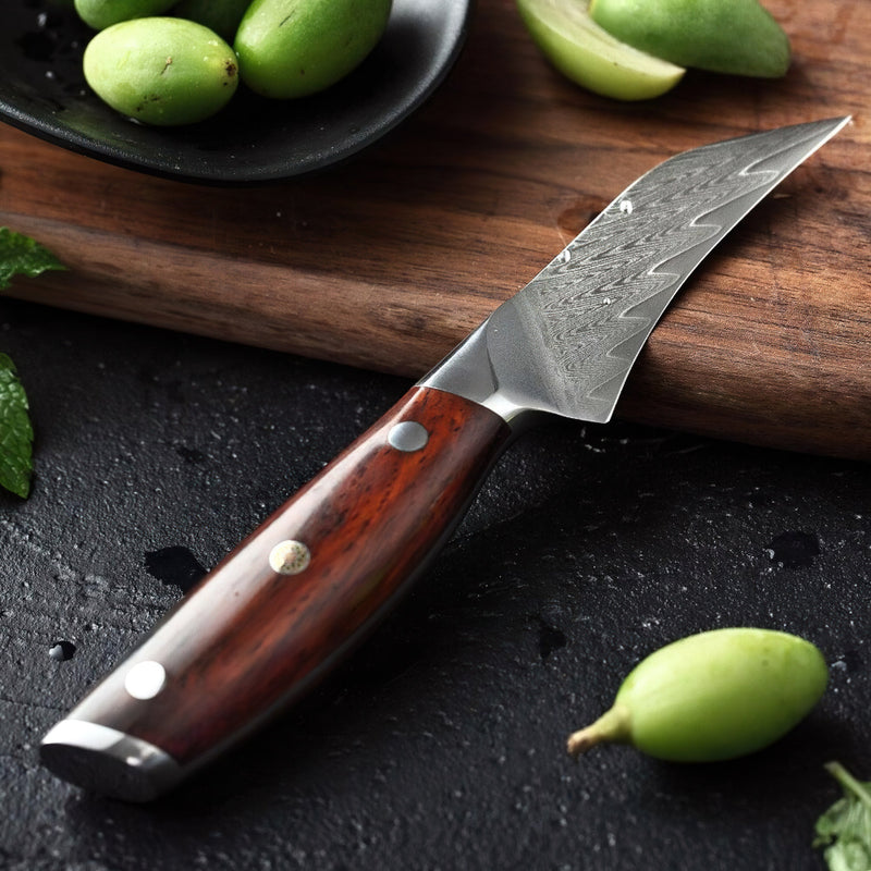 Xinzuo Professional Fruit Knife Damascus Steel Yi Series