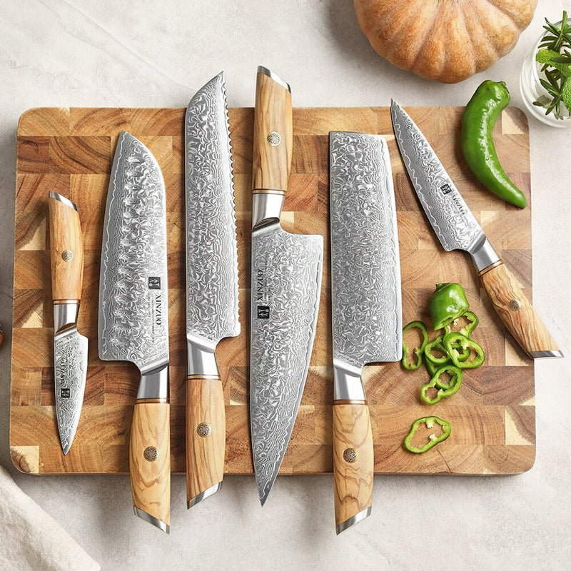 Xinzuo Professional Damascus Kitchen Knife Set 6 Pieces Lan Series