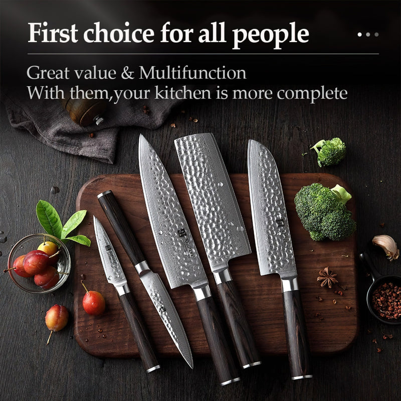 Xinzuo Professional Damascus Kitchen Knife Set 5 Pieces Stria He Series