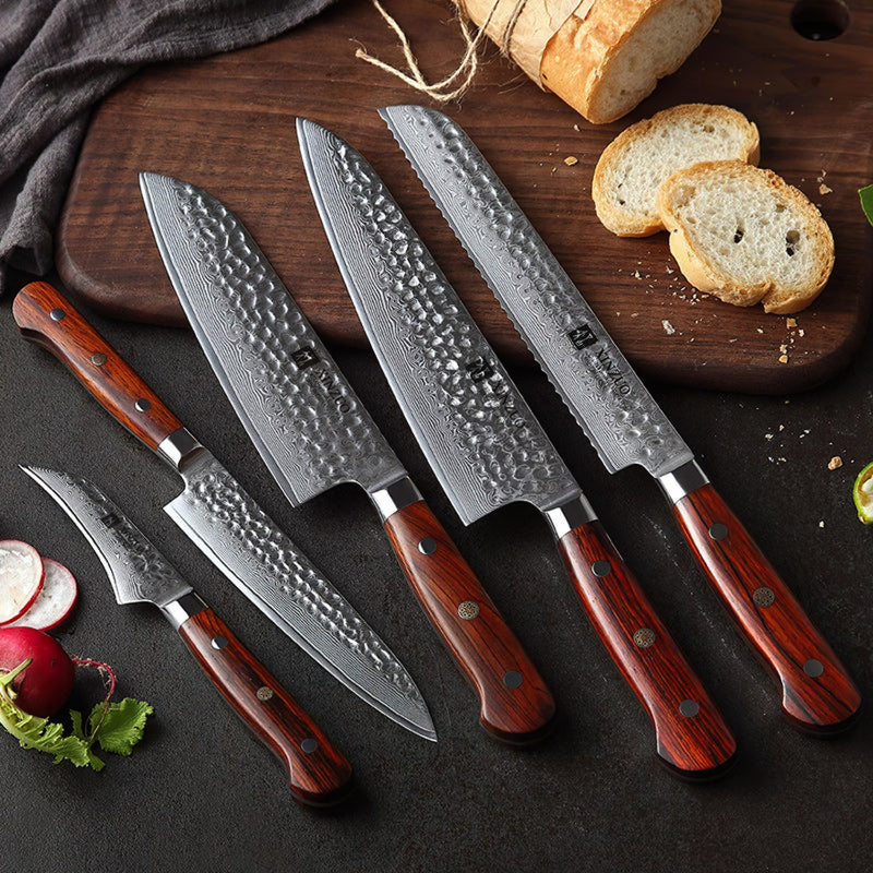 Xinzuo Professional Damascus Kitchen Knife Set 5 Pieces Yun Series