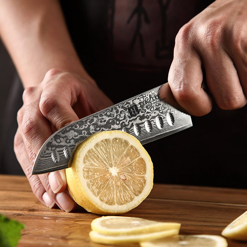 Professional Santoku Knife Damascus Steel Yu Series