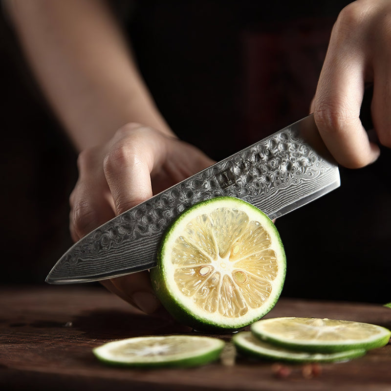 Xinzuo Professional Utility Knife Damascus Steel Ebony Yu Series