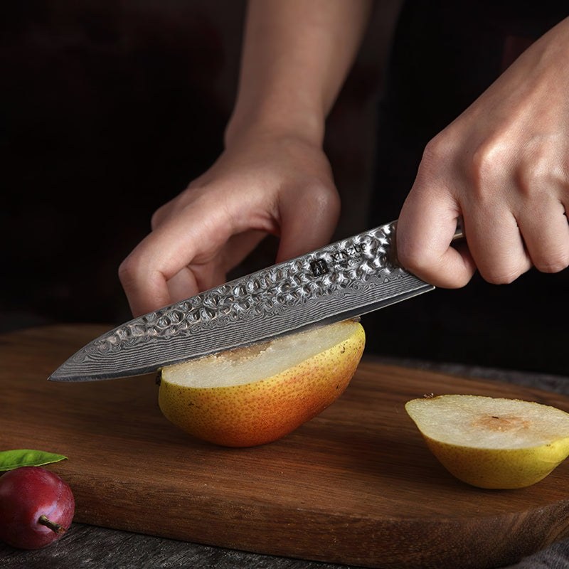 Xinzuo Professional Utility Knife Damascus Steel Yun Series