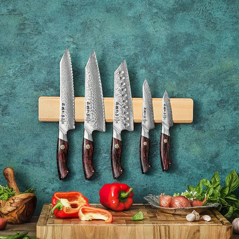 Japanese Damascus 5Pcs Chef Knife Set Elegant Series