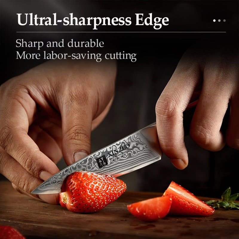 Professional Paring Knife Damascus Steel Yu Series