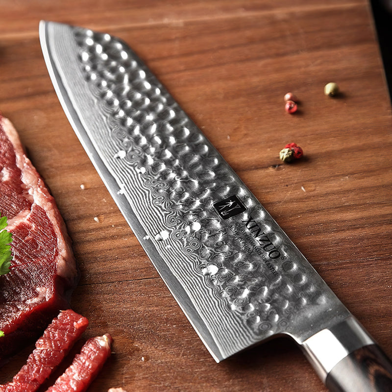 Xinzuo Professional Chef Knife Damascus Steel Stria He Series