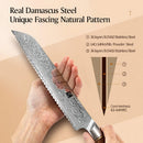 Xinzuo Professional Damascus Kitchen Knife Set 5 Pieces Lan Series