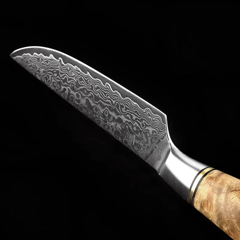 6-Piece Damascus Steak Knife Set - B30M Series