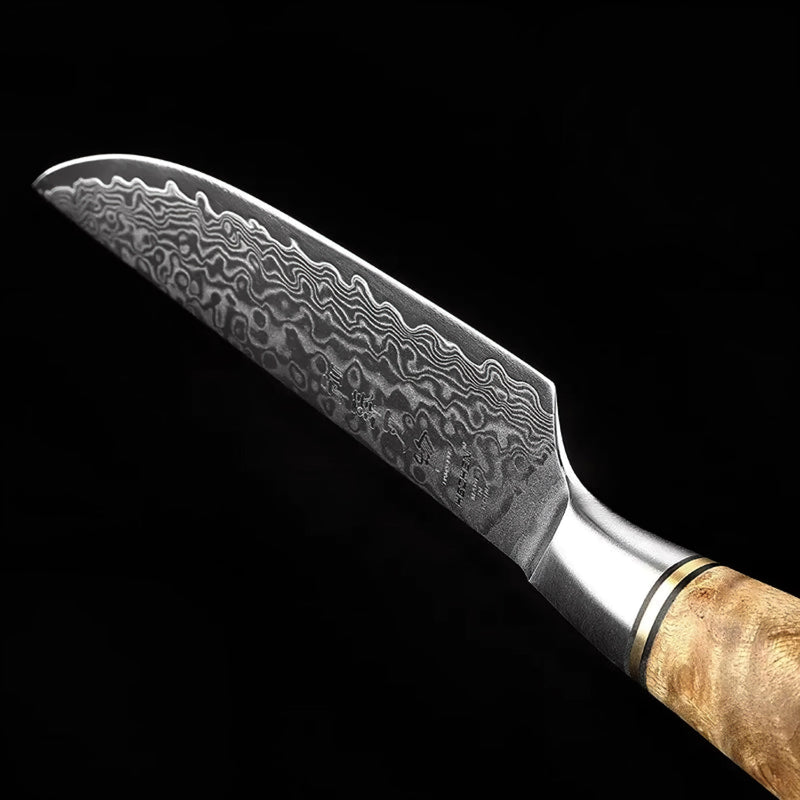 5 Inch Damascus Steak Knife - B30M Series