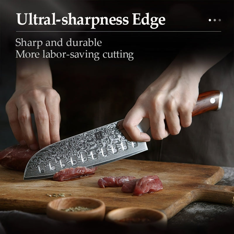 Professional Santoku Knife Damascus Steel Yu Series