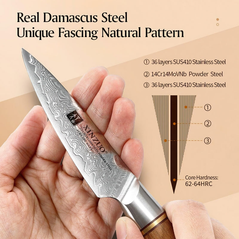 Xinzuo Professional Paring Knife Damascus Steel Lan Series