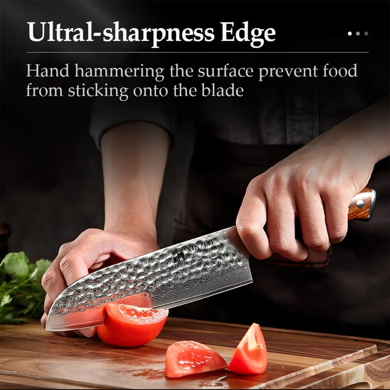 Xinzuo Professional Santoku Knife Damascus Steel Stria Yu Series