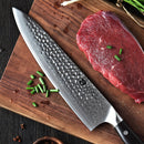 Xinzuo Professional Chef Knife Damascus Steel 10 inch Ebony Yu Series