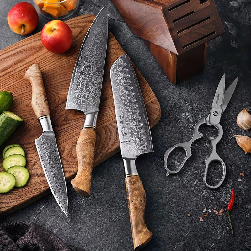 Professional Damascus Kitchen Knife Set - 5 Pieces With Block - B30M Series