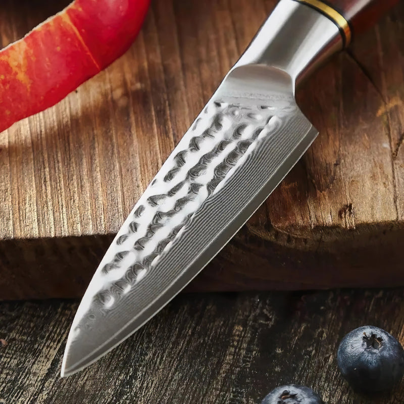 Damascus Paring Knife 9.3cm - Professional Master Series Knives