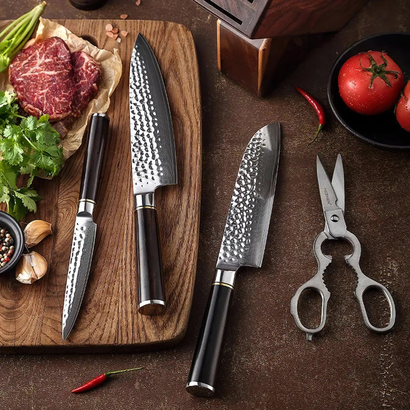 5Pcs Damascus Chef Knife Set With Rack - Classic Series