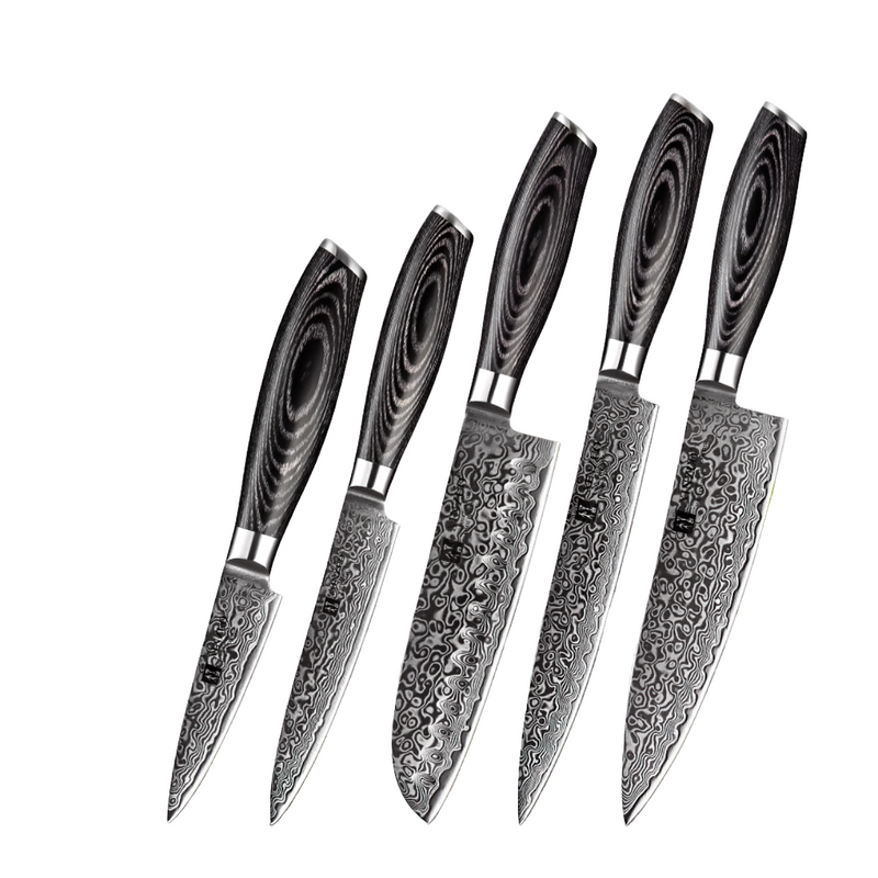 Xinzuo Professional Damascus Kitchen Knife Set 5 Pieces Ya Series