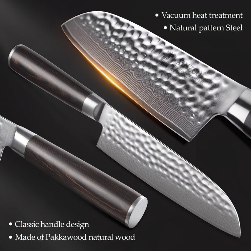 Xinzuo Professional Damascus Kitchen Knife Set 6 Pieces Stria He Series