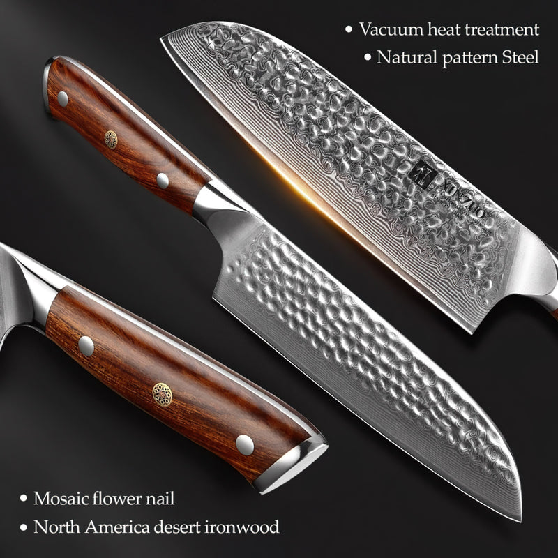 Xinzuo Professional Damascus Kitchen Knife Set 5 Pieces Stria Yu Series