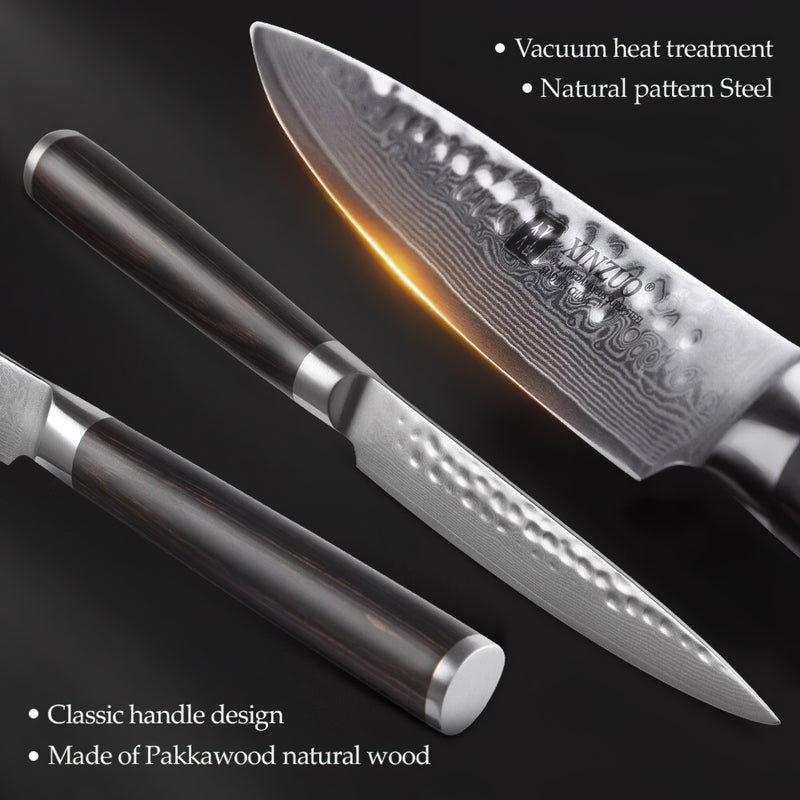 Xinzuo Professional Damascus Kitchen Knife Set 5 Pieces Stria He Series