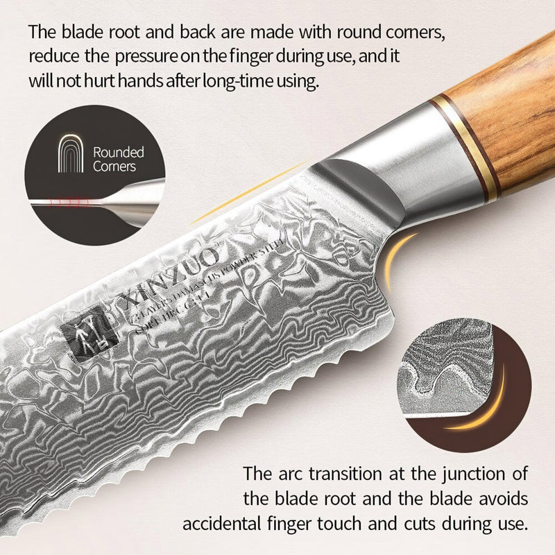 Xinzuo Professional Damascus Kitchen Knife Set 6 Pieces Lan Series