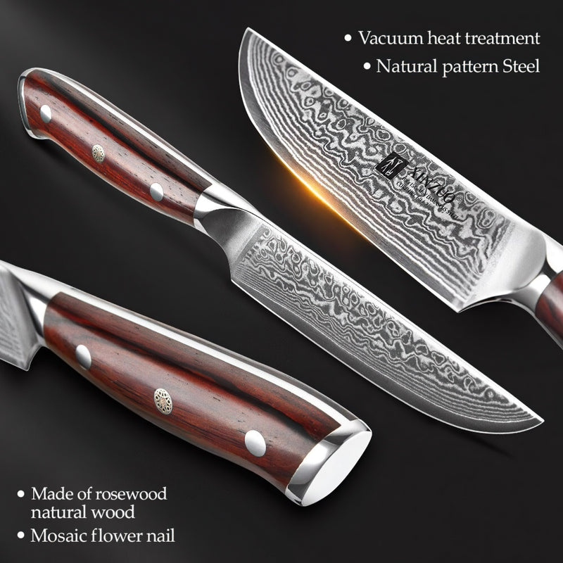 Professional Steak Knife Damascus Steel Yu Series