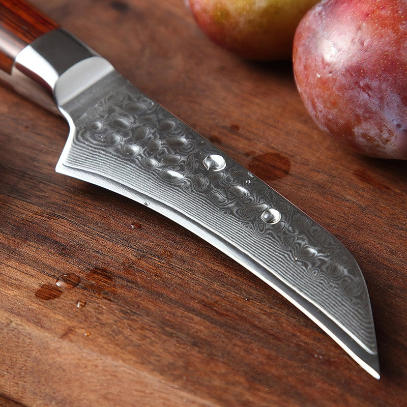 Xinzuo Professional Fruit Knife Damascus Steel Yun Series