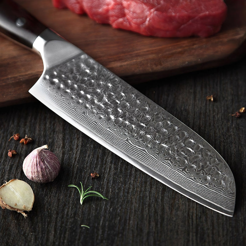 Xinzuo Professional Santoku Knife Damascus Steel Ebony Yu Series