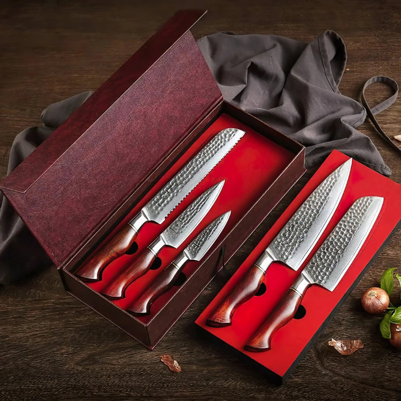 Damascus 5 Piece Knife Set  - Professional Master Series Knives