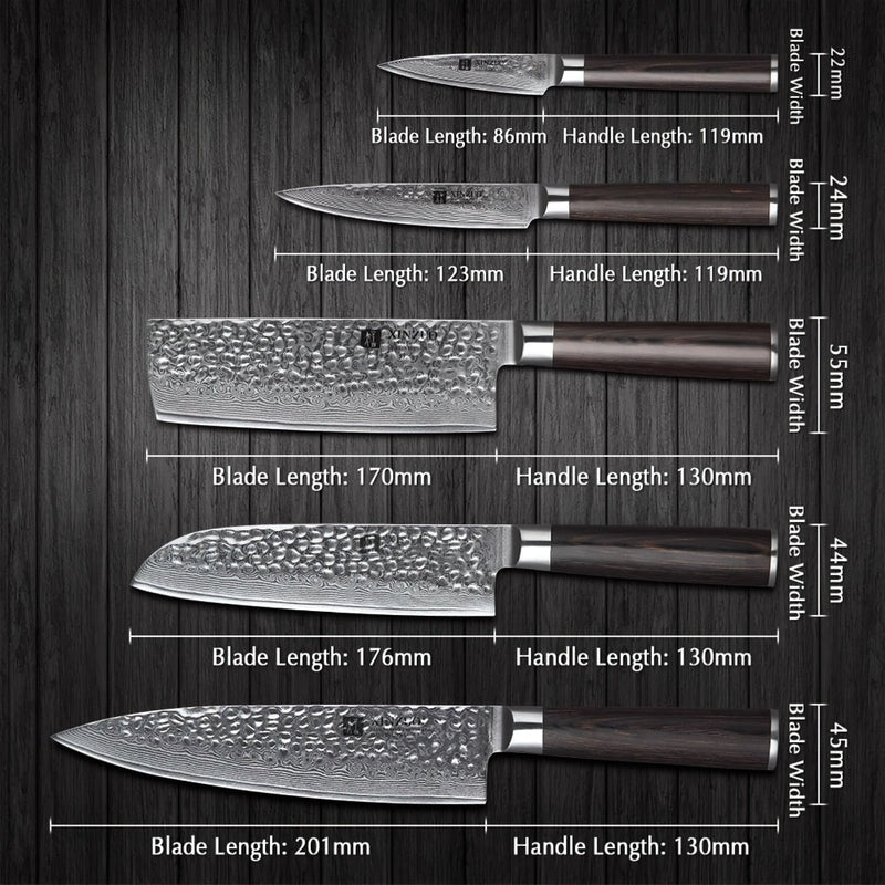 Xinzuo Professional Damascus Kitchen Knife Set 5 Pieces Stria He Series