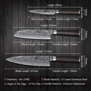 Xinzuo Professional Damascus Kitchen Knife Set 3 Pieces Stria He Series