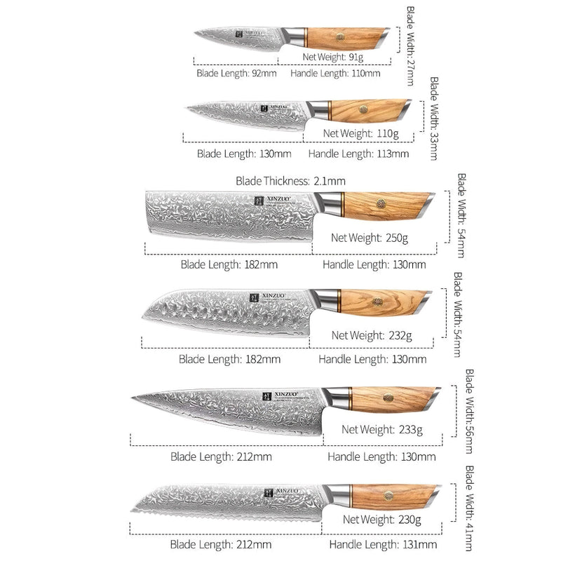 Xinzuo Professional Damascus Kitchen Knife Set 6 Pieces Lan Series