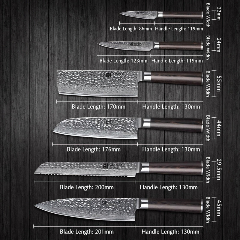 Xinzuo Professional Damascus Kitchen Knife Set 6 Pieces Stria He Series