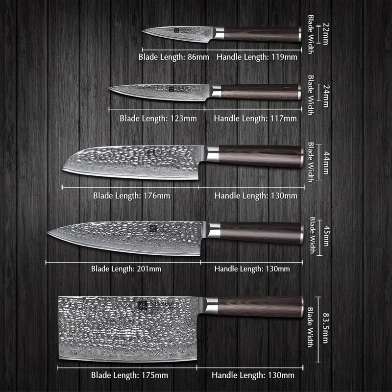 Xinzuo Professional Damascus Kitchen Knife Set 6 Pieces With Block Stria He Series