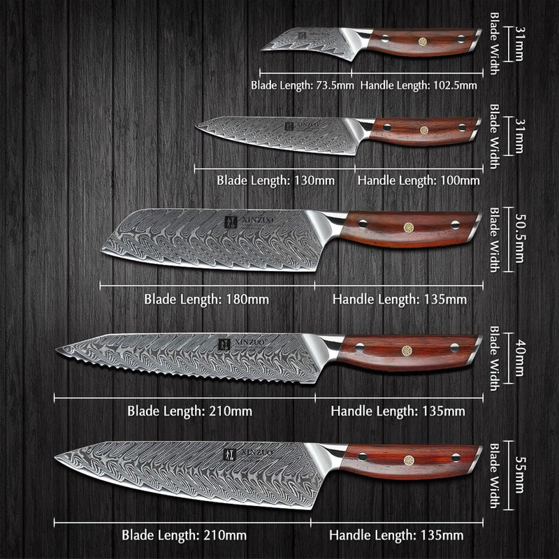 Xinzuo Professional Damascus Kitchen Knife Set 5 Pieces Yi Series