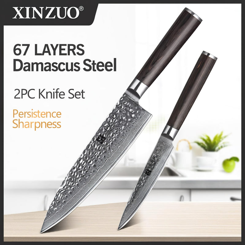 Xinzuo Professional Damascus Kitchen Knife Set 2 Pieces Stria He Series