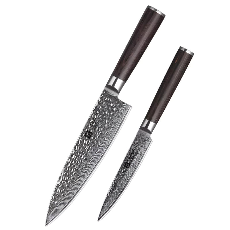 Xinzuo Professional Damascus Kitchen Knife Set 2 Pieces Stria He Series