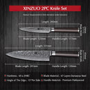 Xinzuo Professional Damascus Kitchen Knife Set 2 Pieces Stria He Series