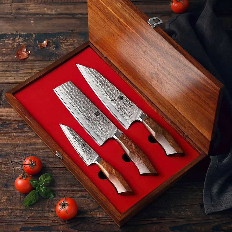 Xinzuo Professional Damascus Kitchen Knife Set 3 Pieces Stria Feng Series