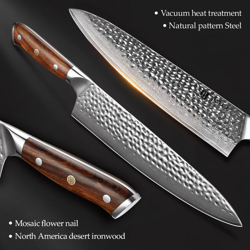 Xinzuo Professional Chef Knife Damascus Steel 10 inch Stria Yu Series