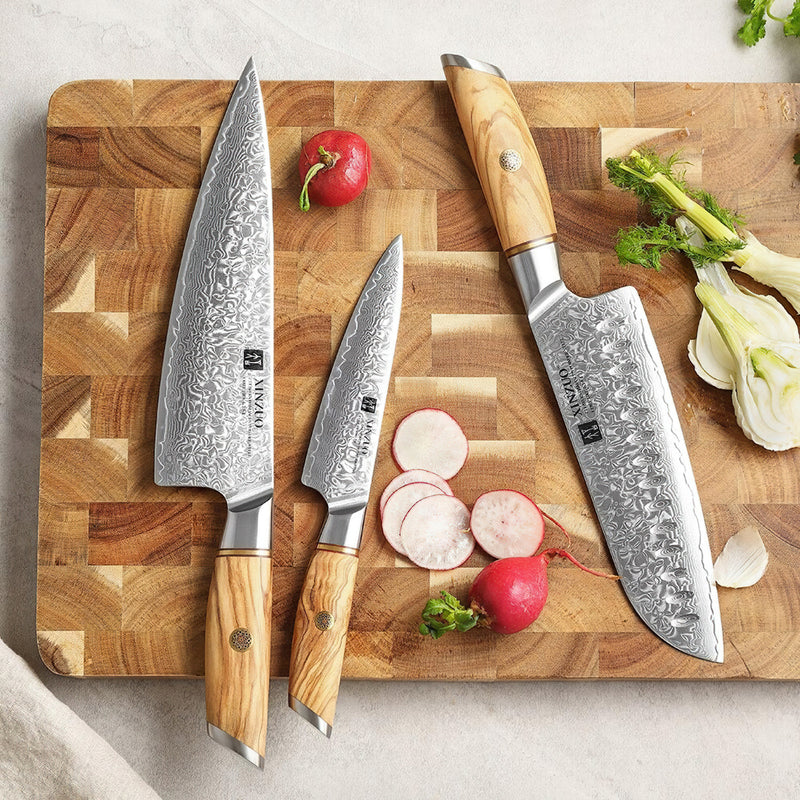 Xinzuo Professional Damascus Kitchen Knife Set 3 Pieces Lan Series