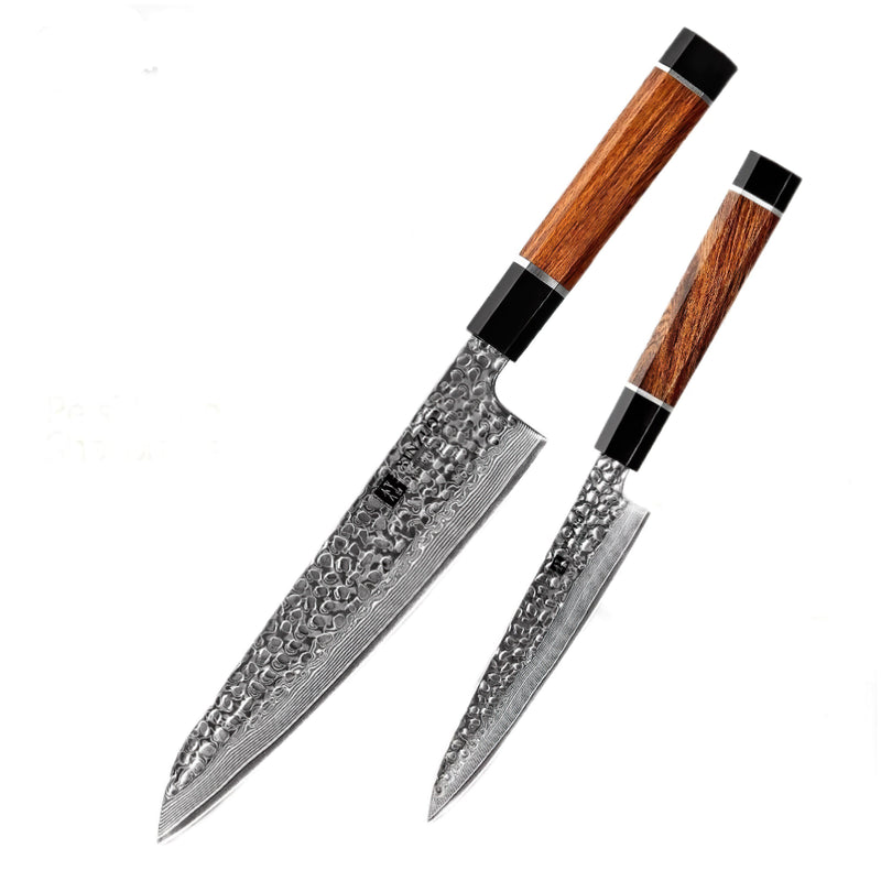 Xinzuo Professional Damascus Kitchen Knife Set 2 Pieces Stria Zhen Series