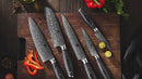 Xinzuo Professional Damascus Kitchen Knife Set 5 Pieces Ya Series