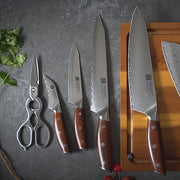 Xinzuo Professional Damascus Kitchen Knife Set 2 Pieces Yi Series